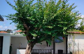 House with pool and garden in Esmoriz near Porto - Foto 31