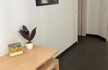 Über den Dächern Ebnats - Foto 8