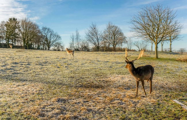 Beautiful Holiday Home in Voerendaal - Photo 29