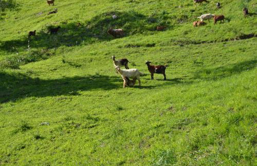 La Seronda de Redes - Foto 27