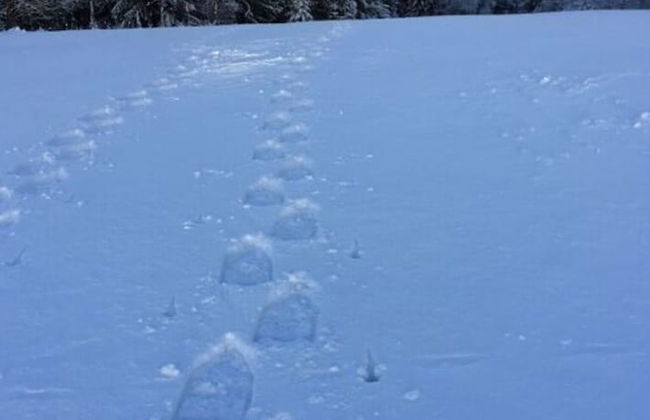 Yellow House Modern Retreat - Foto 14