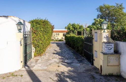 Quinta das AVES - Estúdio 5 - Foto 20