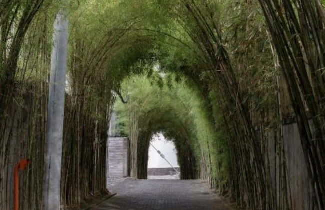 OXO Townhouses Berawa Canggu - Foto 16