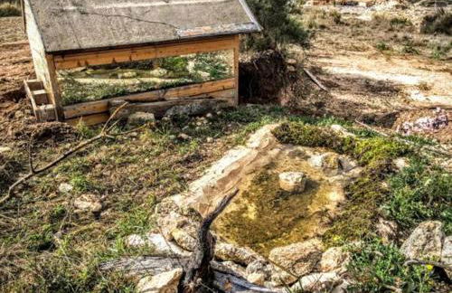 Casas y Cuevas El Solins - Foto 67