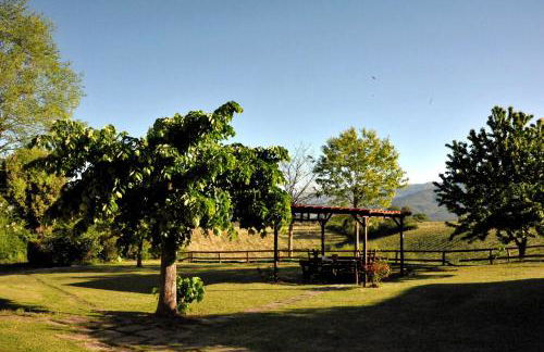 Agriturismo il Pino - Bioagricoltura - Photo 61