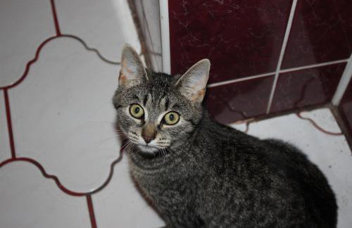 Gospodarstwo Agroturystyczne Agroletnica - Foto 81