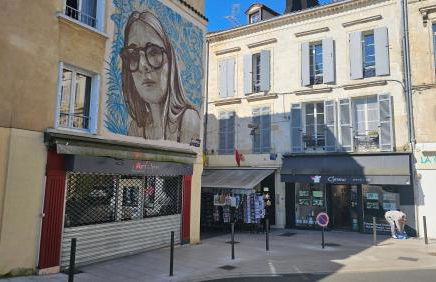 Le "Chic en Ville" Centre historique, climatisé, wifi, Parking sous-sol inclus - Foto 31