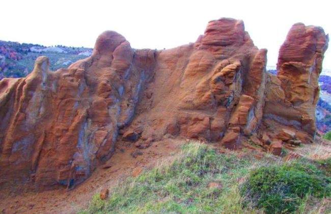 Tour por la Reserva Nacional Magallanes - Foto 8