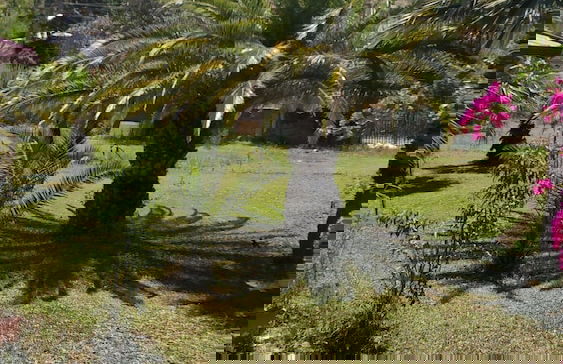 The Palm Apart Sarigerme - Foto 69