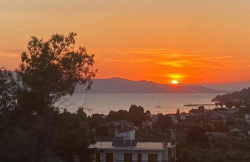 Theologos Residencies - Foto 17