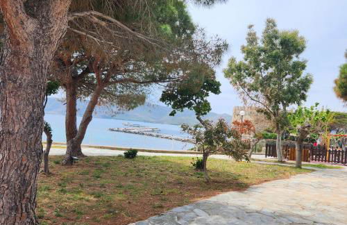 Karystos sea side apartment - Foto 25