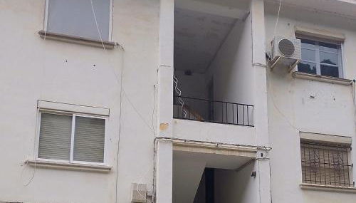 Ave Ibis eremita Vejer - Foto 2