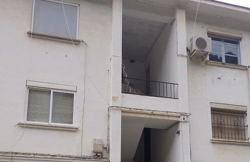 Ave Ibis eremita Vejer - Foto 2