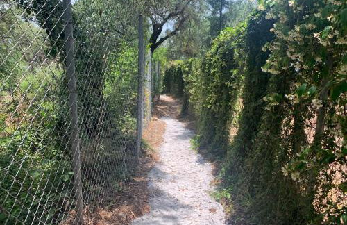 Villa Serena - Photo 33