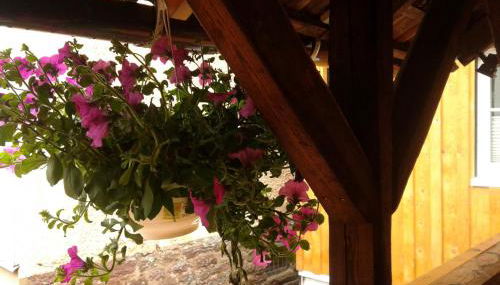 Alte Schmiede - Foto 2