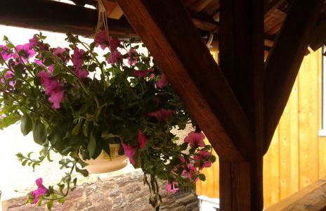 Alte Schmiede - Foto 2