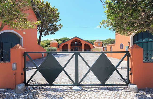 Quinta da Bicuda - Photo 66