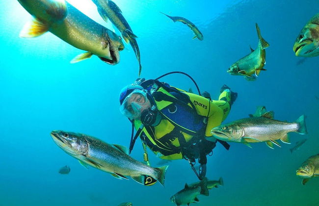 Holiday Village Prabichl, Vordernberg - Foto 25