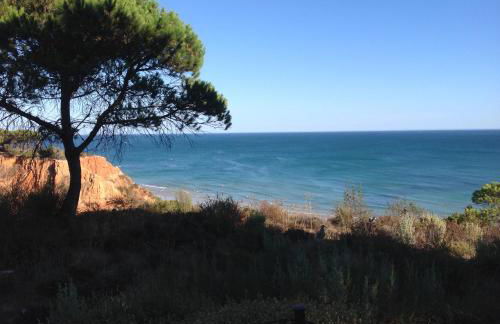 Sailing Studio Açoteias - Foto 23