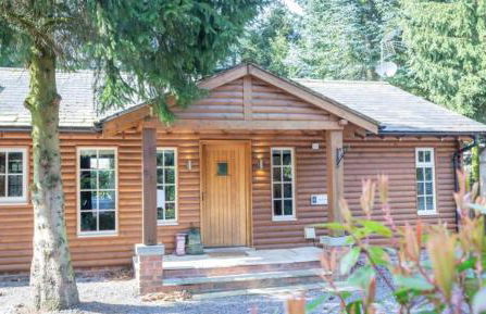 Nordmann Fir Lodge - Photo 2