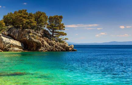 Holiday house Barba - Vrana - Foto 62