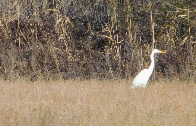 Borgo Cenaioli - Photo 52