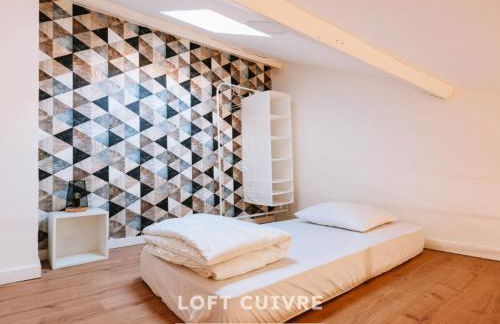 Les Lofts Stéphanois - Au cœur de Sainte-Etienne - Foto 14