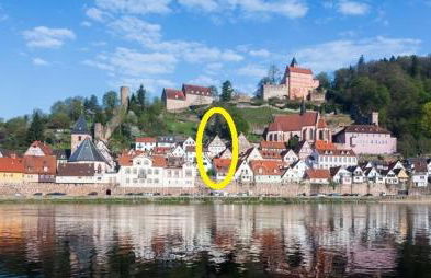 Natur und Neckarblick bei Heidelberg - Photo 71