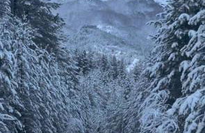 VILLA RIA - Photo 22