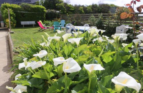 Maison de vacances avec jardin clos à 300m de la mer - Foto 12