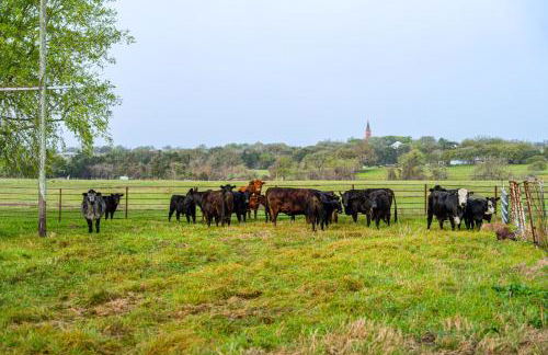 Furnished Deck and Views Rural Schulenburg Retreat - Foto 26