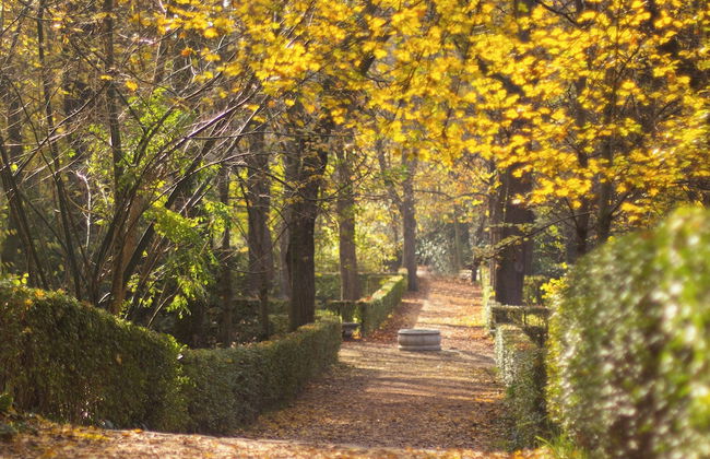 Exclusive Apartment Nestled in the Vibrant Neighborhood of Neptuno - Foto 8