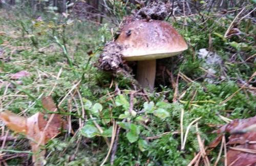 Holiday Home Fachwerkhaus Paula mit Blick auf das Wasser by Interhome - Foto 36