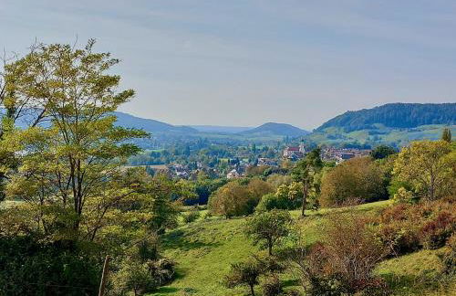 Ruhige 2-Zimmer Ferienwohnung FeWo Bodensee - Foto 13