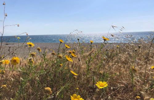 Don Ciccio's House - Foto 32