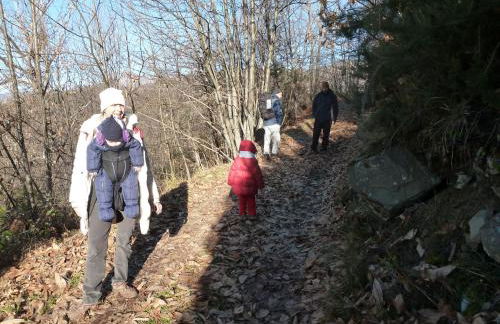 Agriturismo la Fattoria al Crocefisso - Foto 16