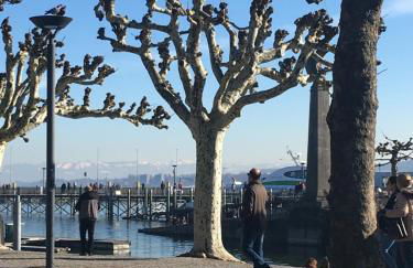 FeWo Michaela Köst - Foto 29