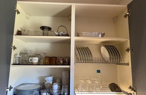 Bosco Stellato - Foto 19