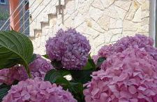 Holiday House Fantasy With Pool - Foto 70