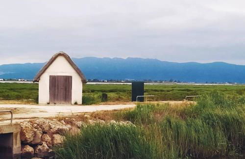 Looking at the Sea - Foto 15