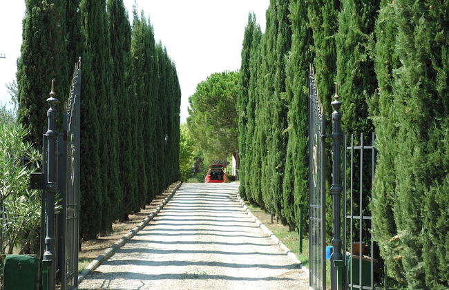 Villa Panconesi - Photo 50