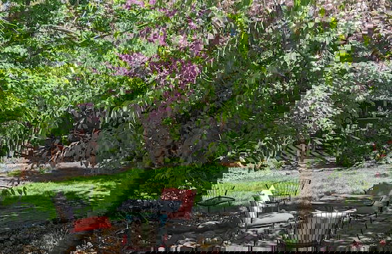 A Cowslip's Belle Inn - Foto 62