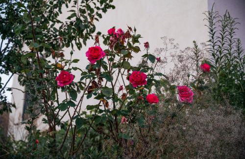 Casa da Ferreira_Vila Real - Foto 41