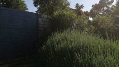 Villa Ofelia - Foto 5, Garden view