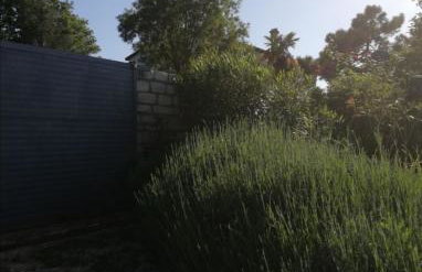 Villa Ofelia - Foto 5