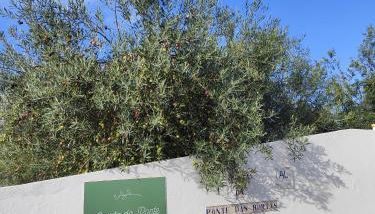 Quinta da Ponte das Hortas 2 - Foto 4