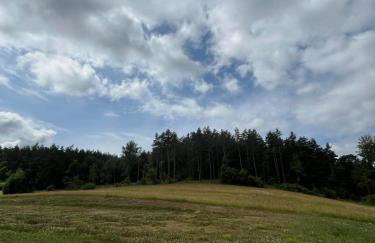 Domki w Bieszczadach Nowa Zelandia - Photo 68