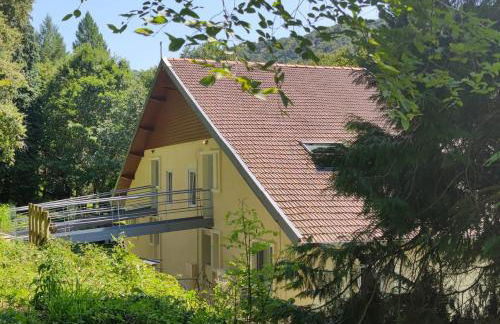 Au fil de la Bontat Vézère - Foto 23