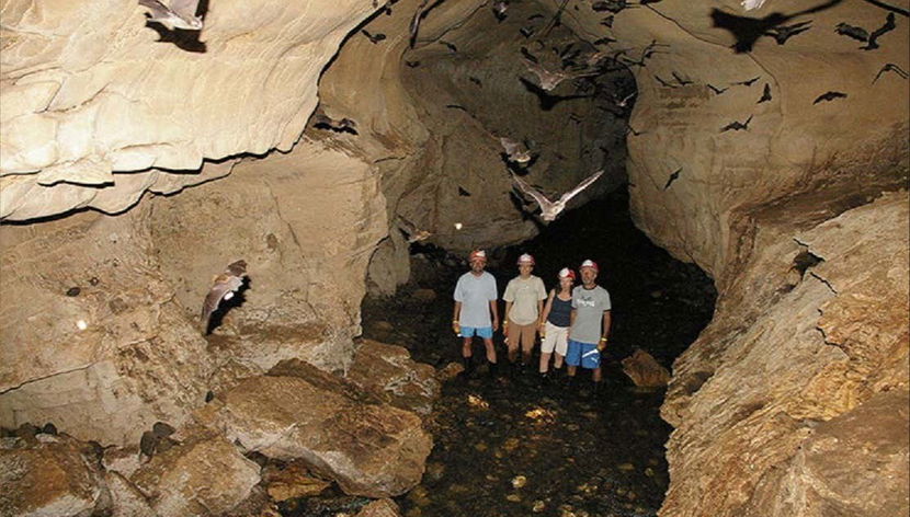 Speleoturismo nella grotta del Manto Sagrado - Foto 3, Osservando la fauna che abita la grotta