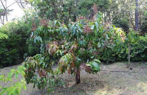 Mar D'Abstração - Photo 55